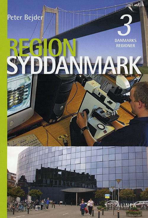 Danmarks regioner, Region Syddanmark