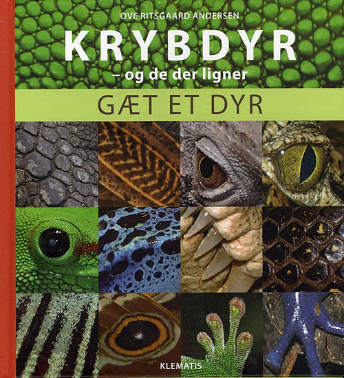 Krybdyr