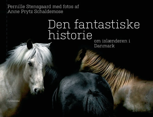 Den fantastiske historie om islænderen i Danmark