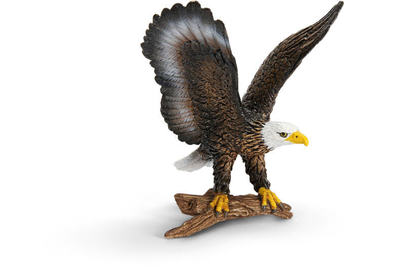 HVIDHOVEDET HAVØRN