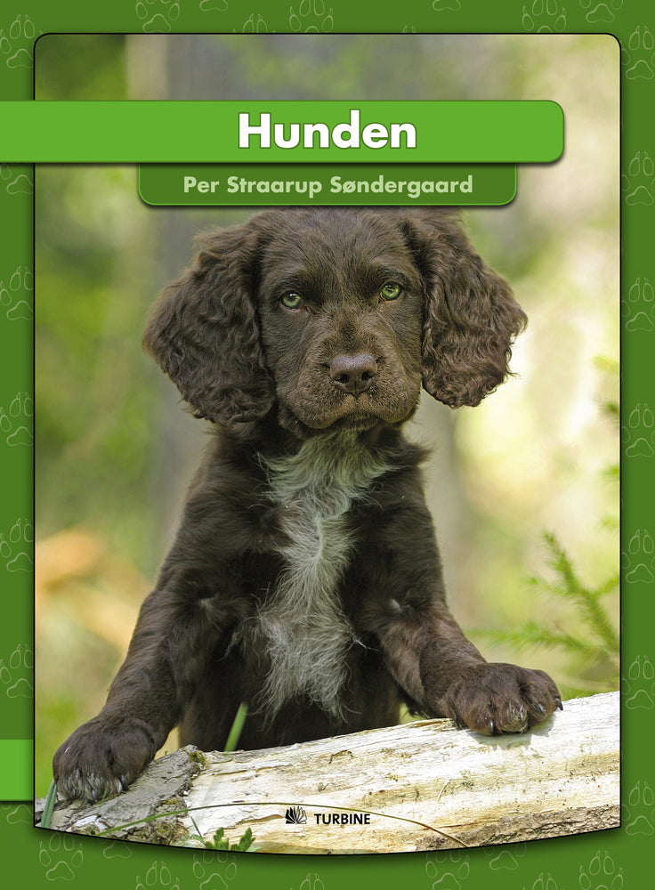 Hunden