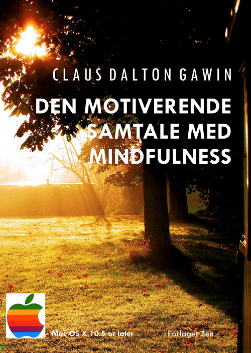 Den Motiverende Samtale med Mindfulness