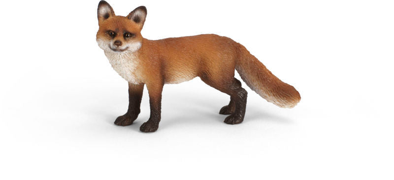 RÆV