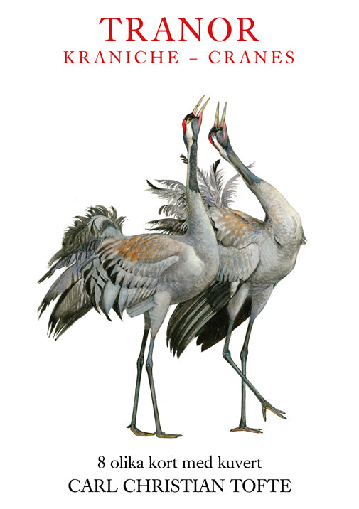Tranor - Kraniche - Cranes