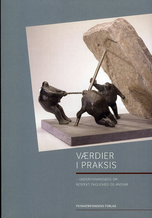 Værdier i praksis