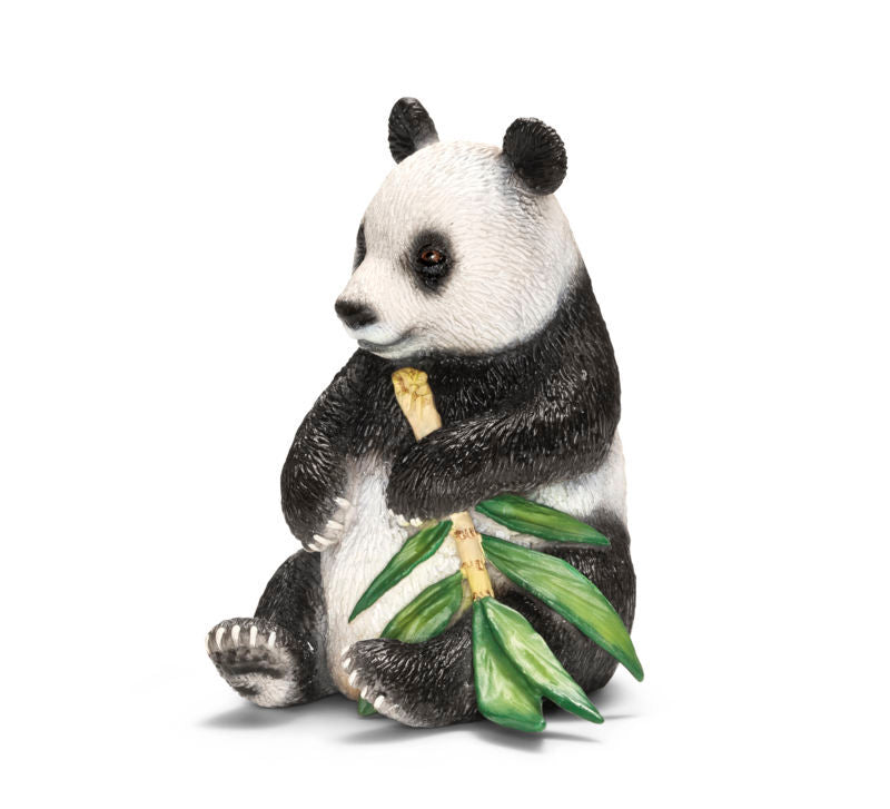STOR PANDA