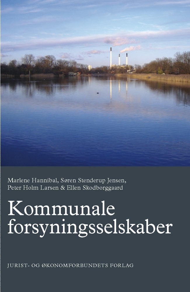Kommunale forsyningsselskaber