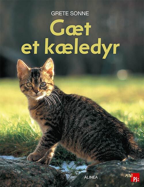 Mini PS, Gæt et kæledyr