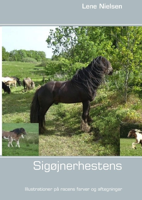 Sigøjnerhestens farver