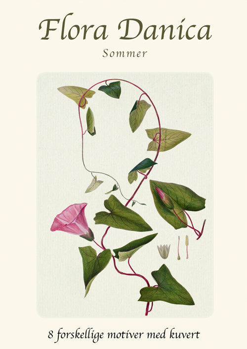 Flora Danica - Sommer
