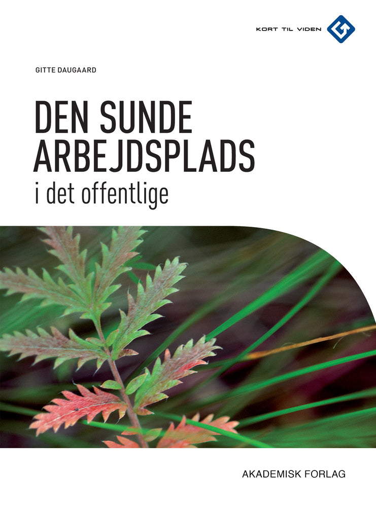 Den sunde arbejdsplads i det offentlige