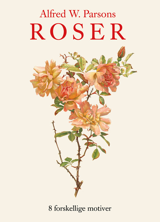 Parsons Roser