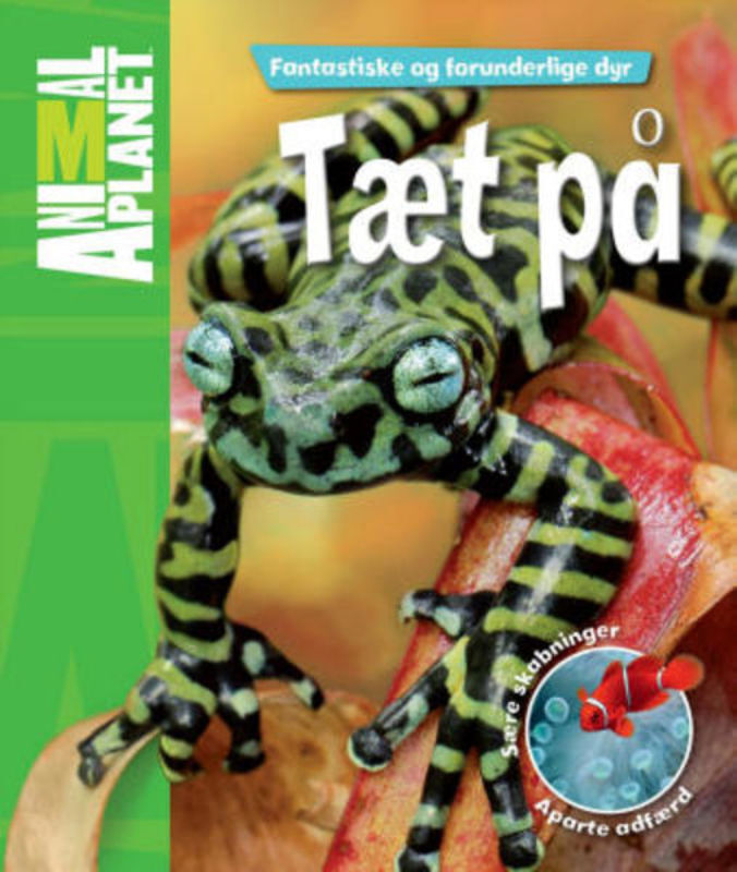 Tæt på