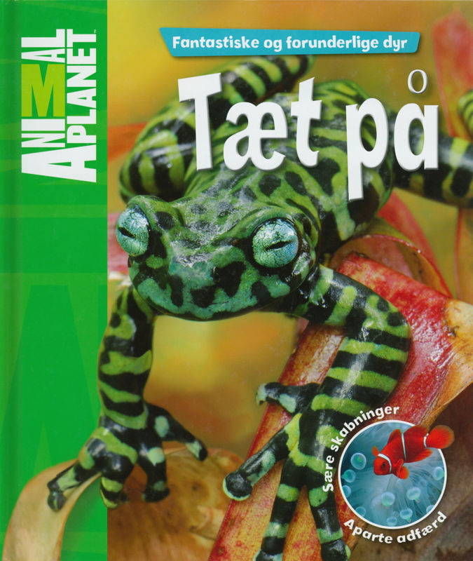 Tæt på