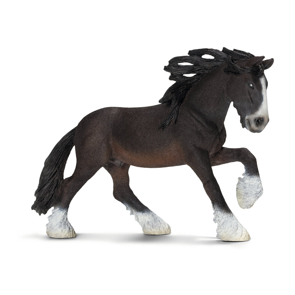 Shire hest