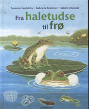 Fra haletudse til frø