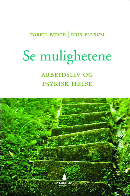 Se mulighetene : arbeidsliv og psykisk helse