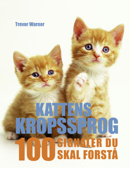 Kattens kropssprog