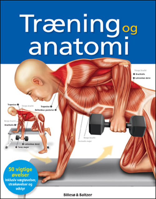 Træning og anatomi