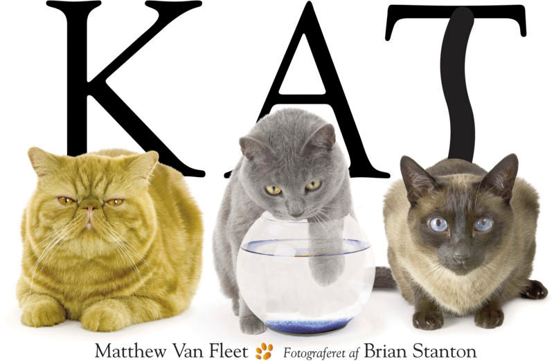 Kat