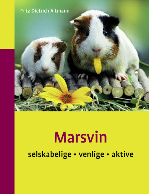 Marsvin