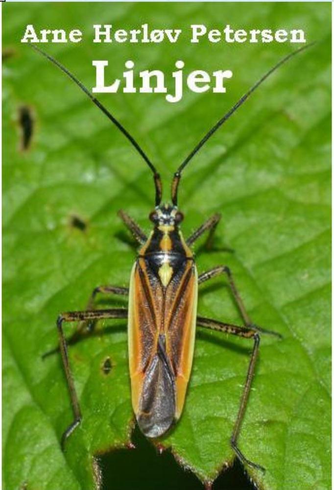 Linjer