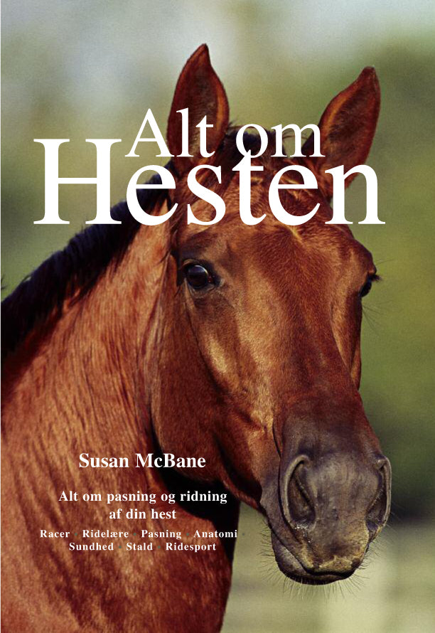 Alt om hesten