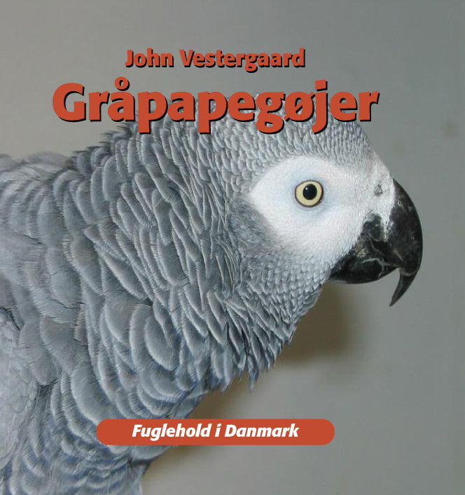 Gråpapegøjer