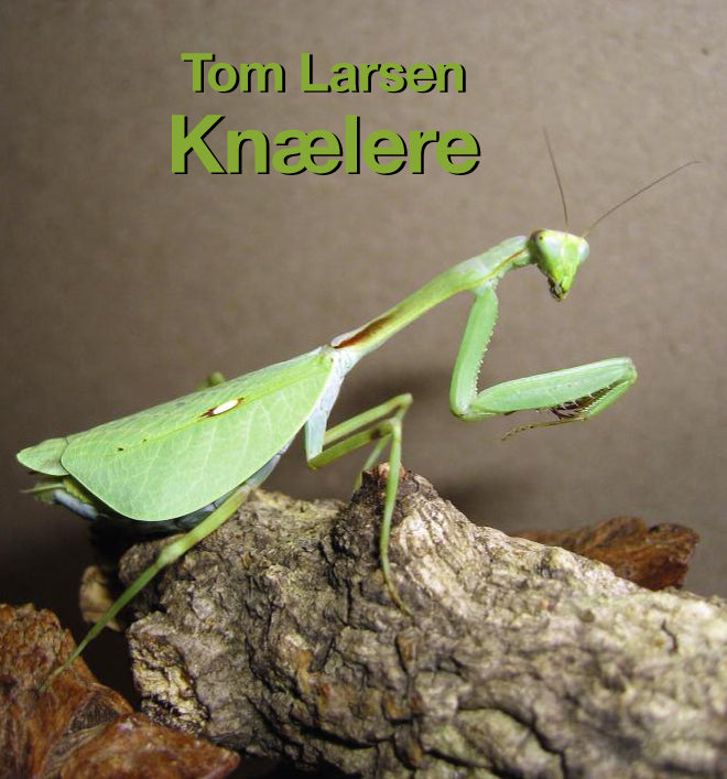 Knælere