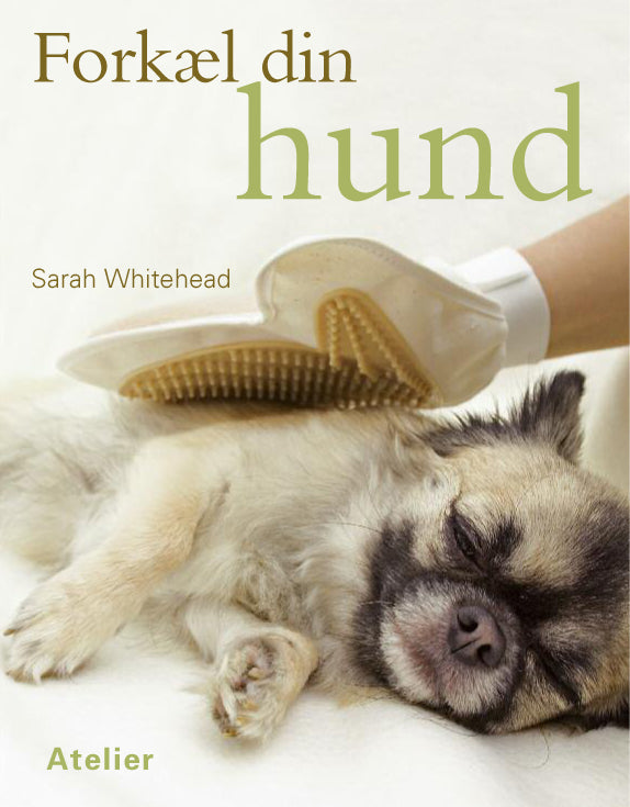 Forkæl din hund