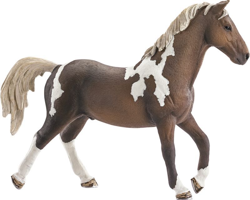 Trakehner hingst
