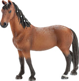 Trakehner hoppe