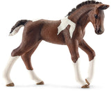 Trakehner føl