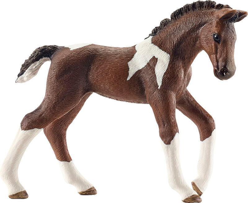 Trakehner føl