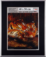 SKIFTERAMME SØLV 40X50CM