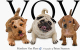 Vov