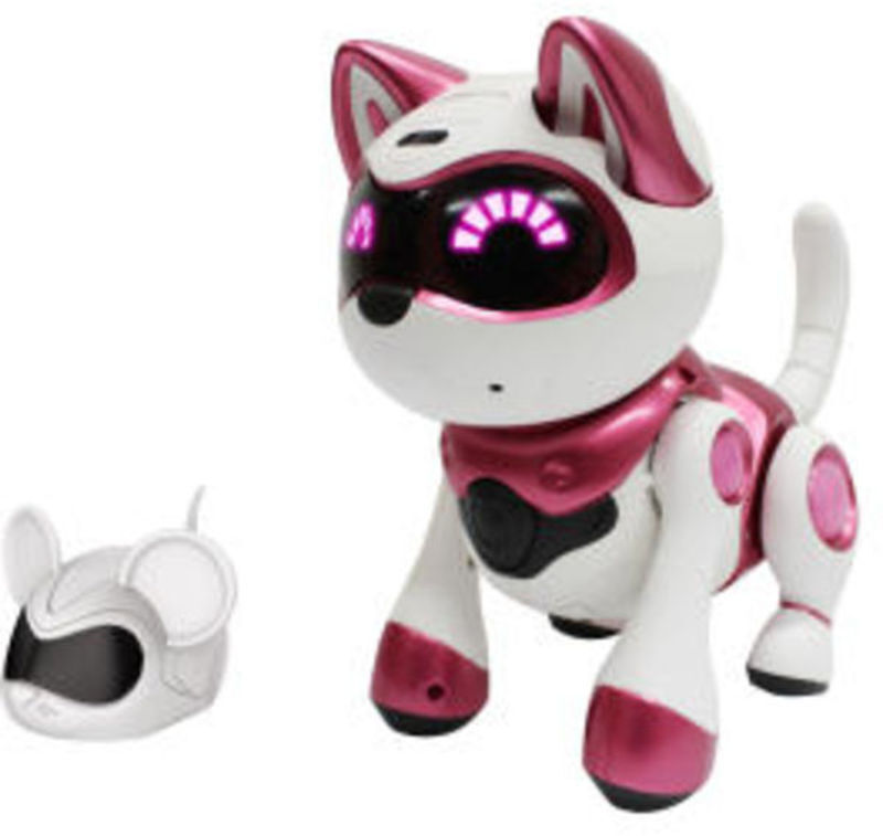 TEKSTA KAT