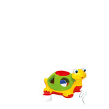 PUTTE SKILDPADDE