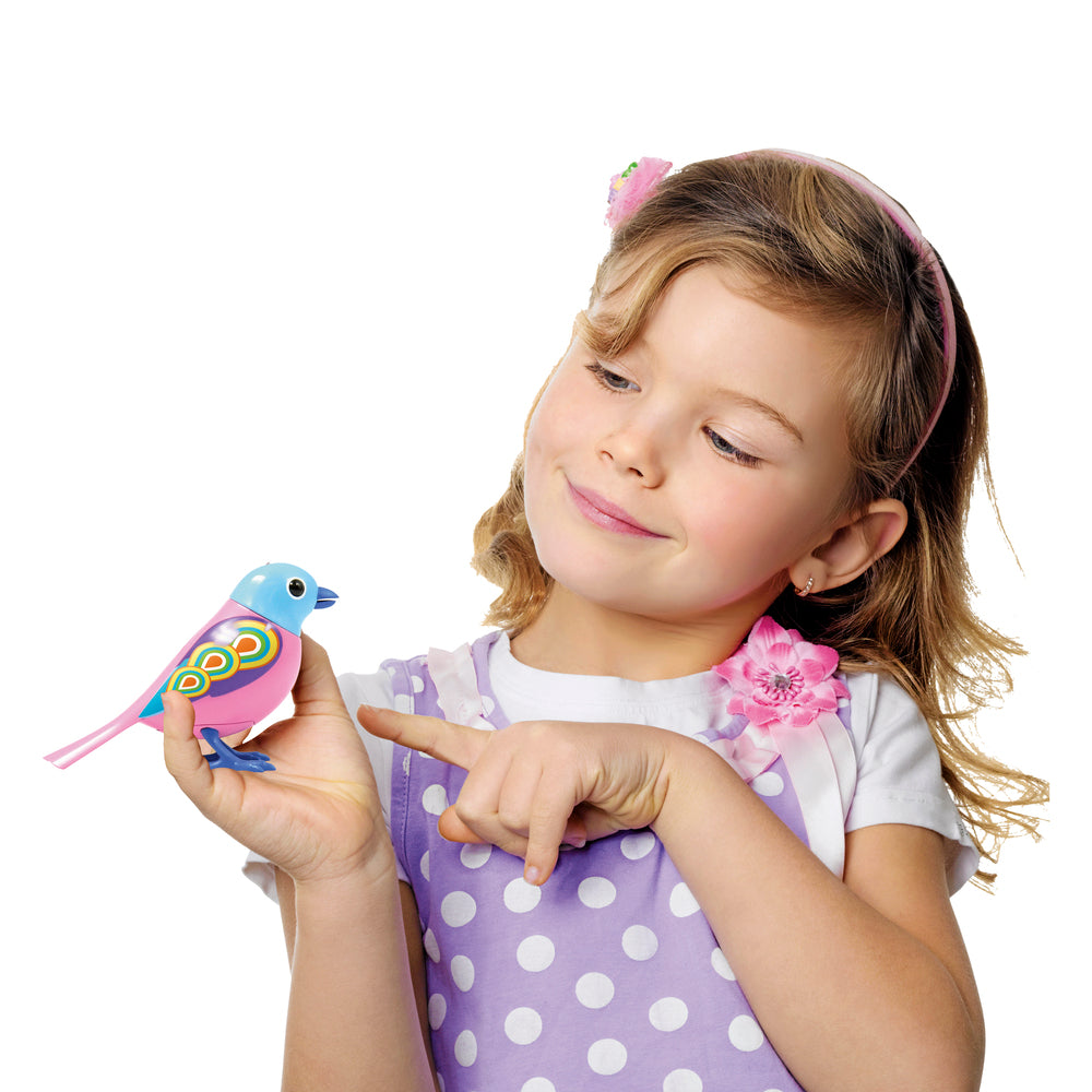 DIGIBIRDS SYNGENDE FUGLE