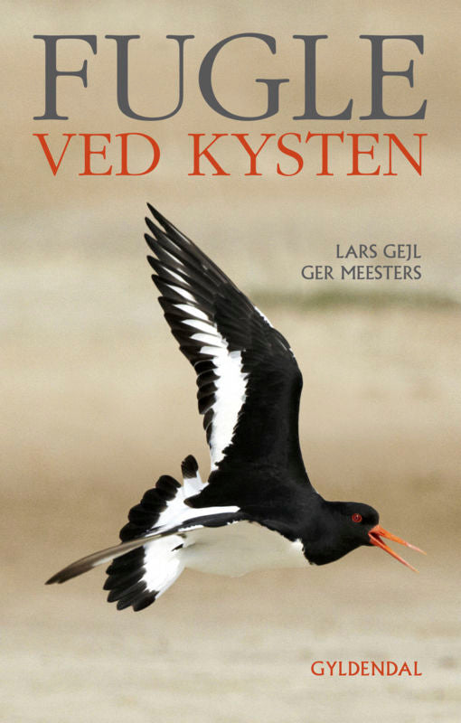 Fugle ved kysten