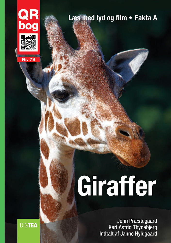 Giraffer
