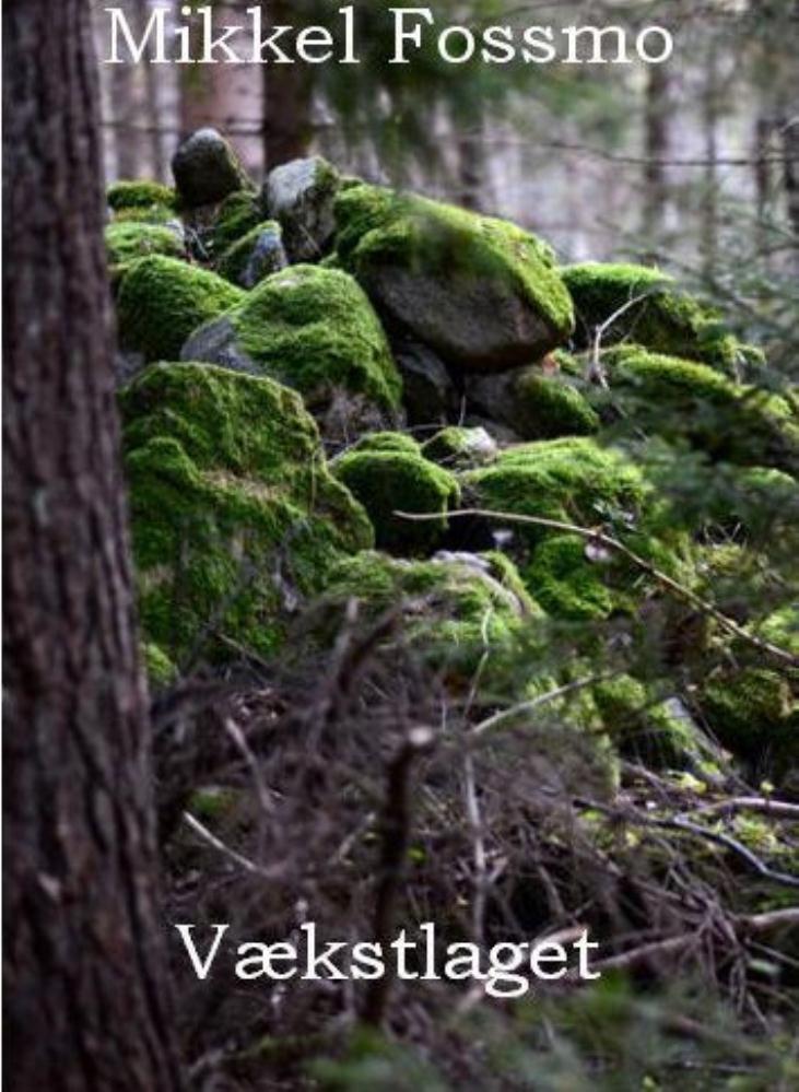 Vækstlaget