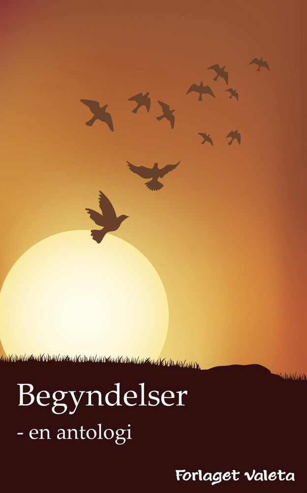 Begyndelser