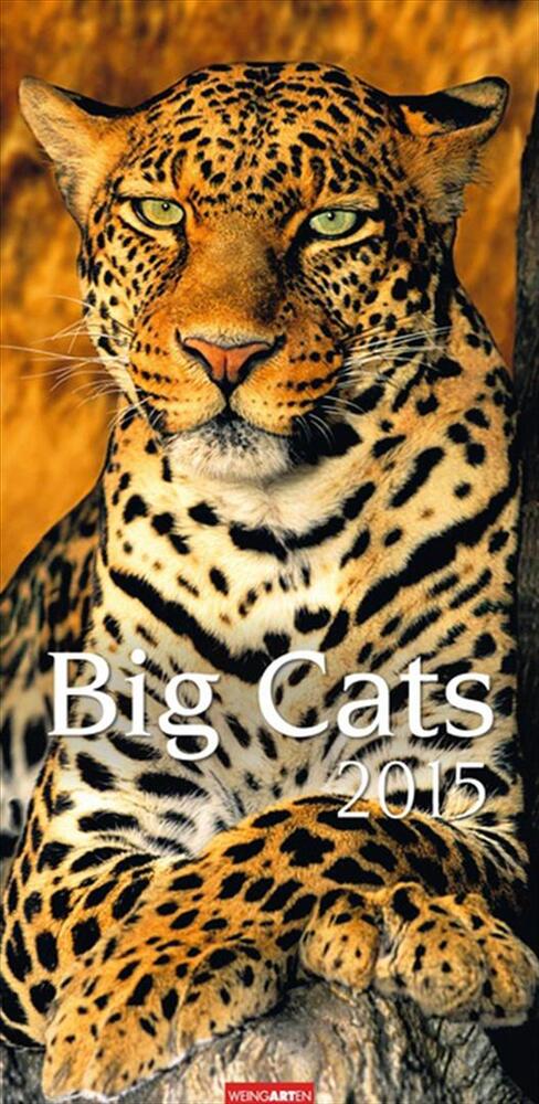 Big Cats Calendar 2015