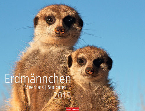 Erdmännchen - Meerkats Calendar 2015