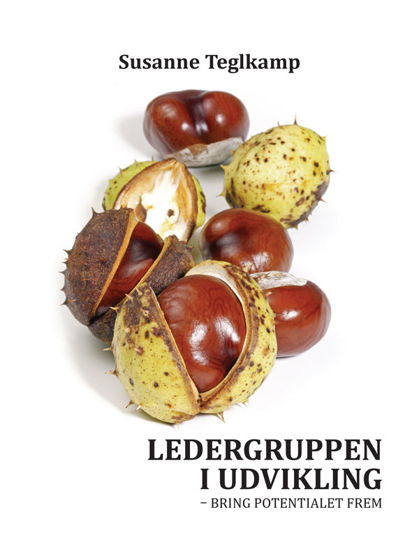Ledergruppen i udvikling