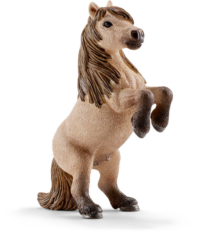 Mini shetlandspony hingst