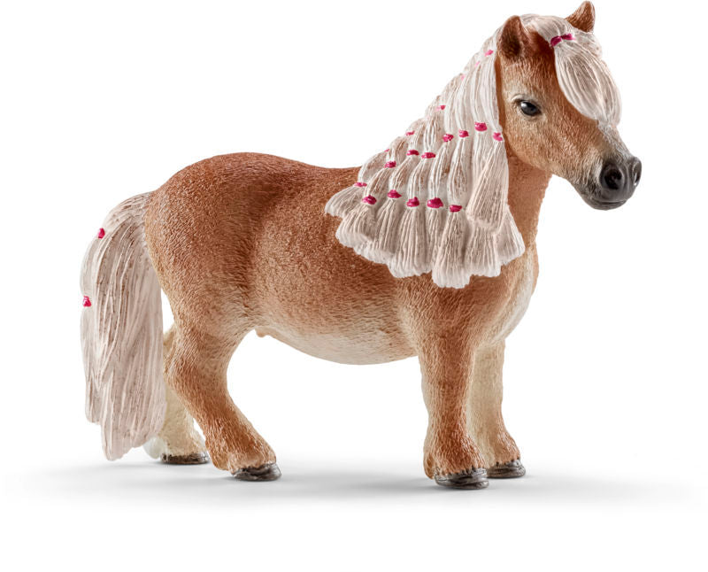Mini shetlandspony hoppe