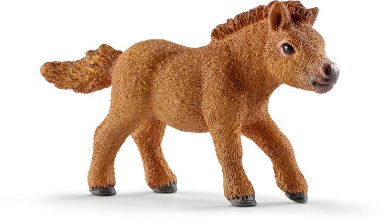 Mini shetlandspony føl