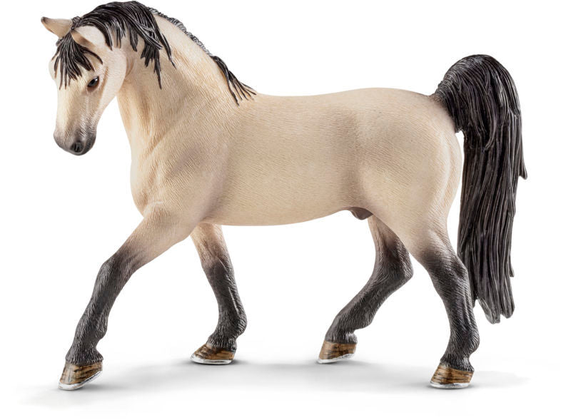 TENNESSEE WALKER HINGST